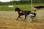 Emory Flame - Harri Kotilainen