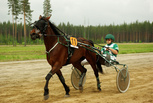 Kicking Redhead - Petri Parkkonen