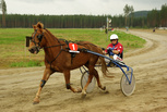 Voiskeri - Jukka Karhulahti