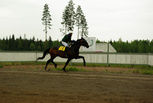Jack Brown - Katri Manninen