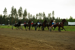 6.lähtö