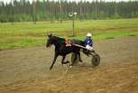F.L. Elysee - Tapani Pihlainen