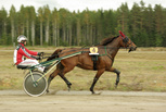 Bablo Babar - Sami Vehviläinen