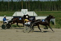 2 Adeness - Jukka Leinonen
3 Baloo Babar - Ville Piispanen

