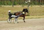 Solena - Anne Kinnunen