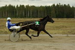 Sing Day - Seppo Kemppainen