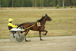 Kicking Speed - Marko Känsälä