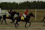 6 Gabriella Sea - Eeva Linqvist
4 Erika's Princess - Virpi Kuossari