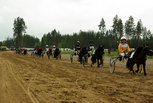 2. Ponilähdön esittely