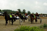 1 L.R. Pinochio - Manta Tuomi
2 Napo's Nick - Laura Pasanen
3 Elsa II - Noora Kivimaa
