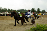 A.R. Celina - Jesse Suomalainen