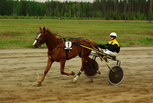 Thor Kemp - Marko Känsälä