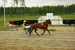 Vara-Pimu - Jouni Vainio
