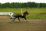 Sävelen Arttu - Veikko Svart