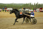 F.L. Elysee - Tapani Pihlainen