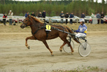 Tuhti-Heili - Pekka Vehviläinen
