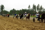 2. Ponilähdön esittely
