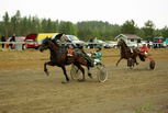 Wilma Windhill - Petri Parkkonen