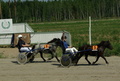 5 Pohjan Vilma - Veera Laine
6 Pihlajamäen Graystoke - Rosa Kangas