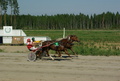 Vaarin Valtti - Anssi Niininen